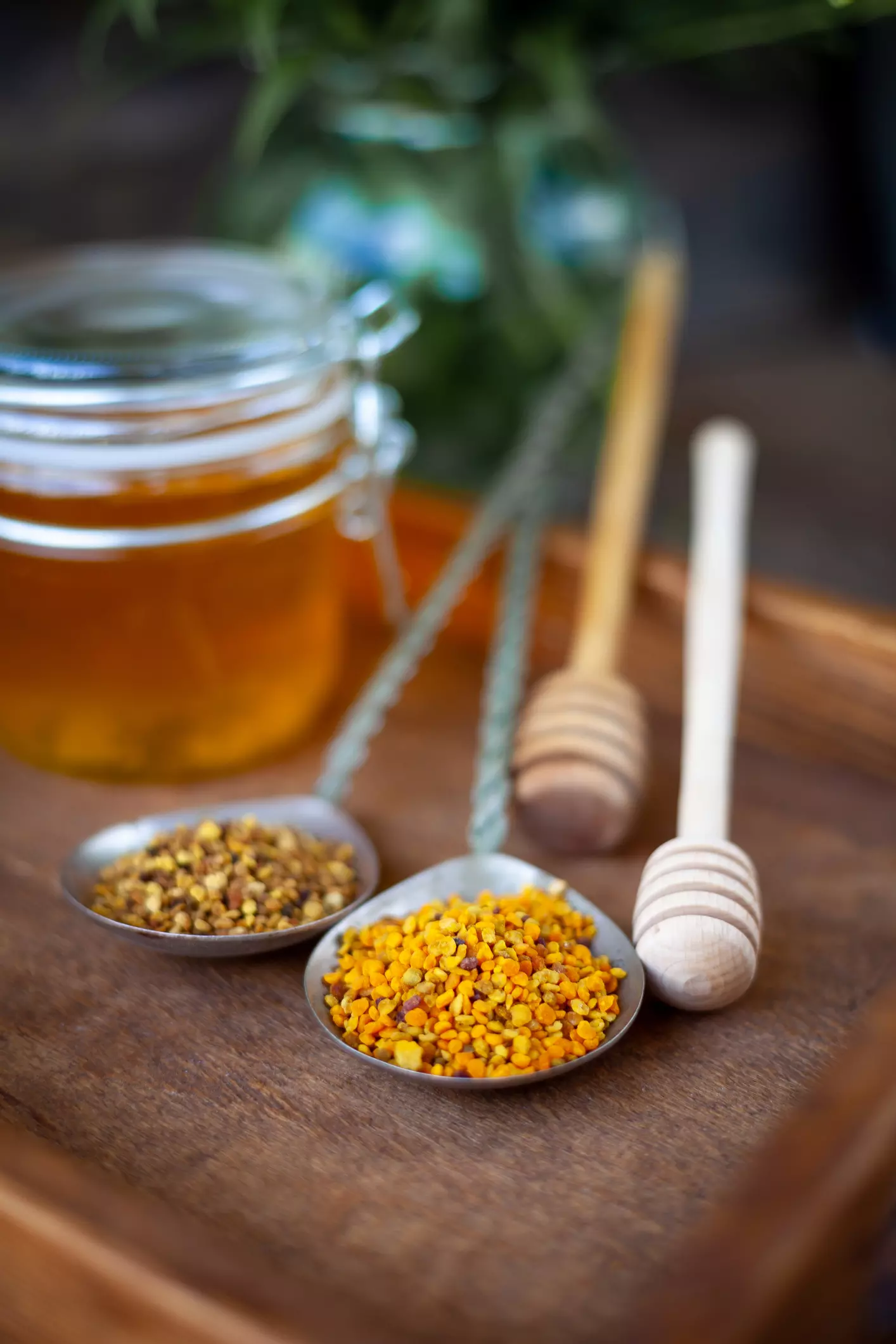 Vitalstoffe & Propolis Vitalstoffe & Propolis