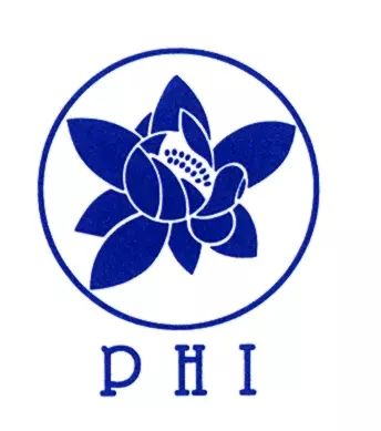 PHI-Essenzen PHI-Essenzen
