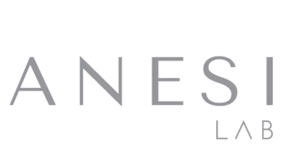ANESI LAB ANESI LAB